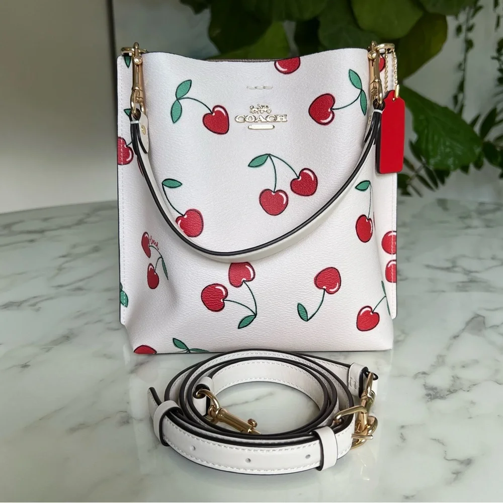 Coach Mollie Bucket 22 With Heart Cherry Print CF422 Chalk Multi Crossbody